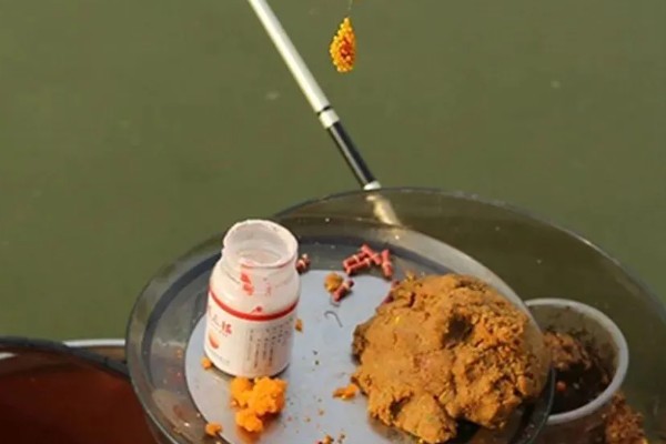钓鲤鱼的小药哪种好，根据不同的鱼种决定