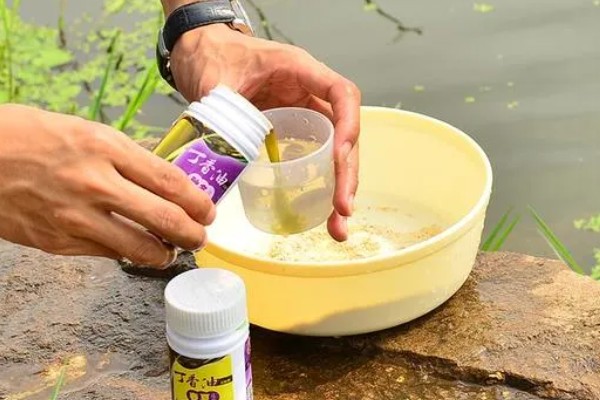 钓鲤鱼的小药哪种好，根据不同的鱼种决定