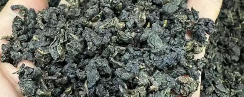 白芽奇兰是不是绿茶，属于乌龙茶