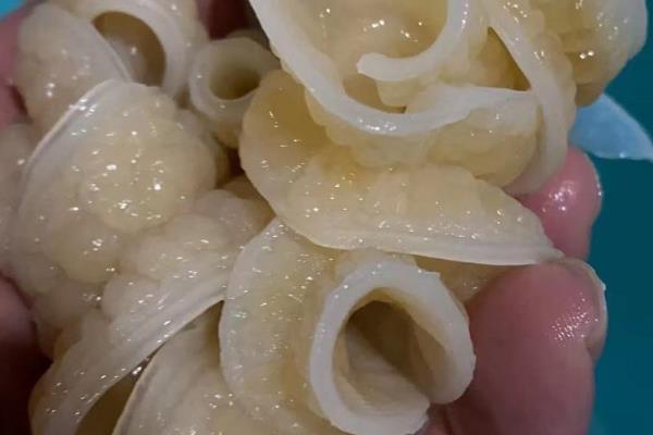 怎么把油饼做成花肥,装入瓶中注入清水然后密封发酵