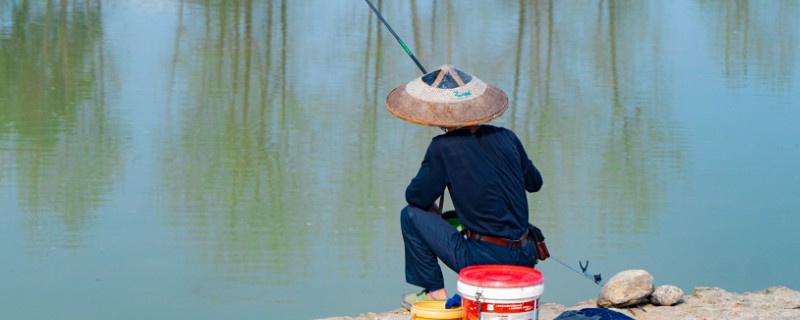 野钓怎么避开小鱼闹窝，可以在一开始使用腥味不重的饵料