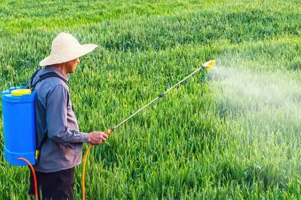 有什么碱性农药,波尔多液、石硫合剂等药物使用较多