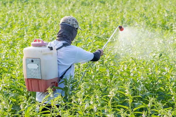 有什么碱性农药,波尔多液、石硫合剂等药物使用较多