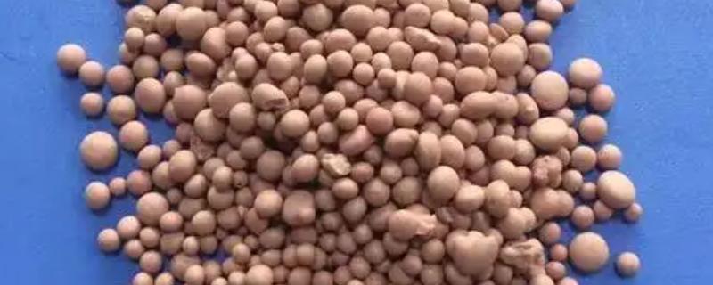 硝态氮肥能不能施蔬菜，不可施
