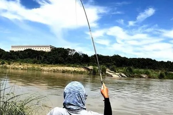 大鱼晚上是不是在浅水层活动,垂钓大鱼一般要钓深水