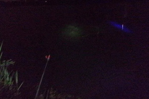 大鱼晚上是不是在浅水层活动,垂钓大鱼一般要钓深水