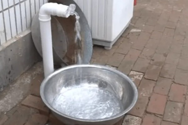 巴西龟的喂食量，成年后每次投喂10-14粒