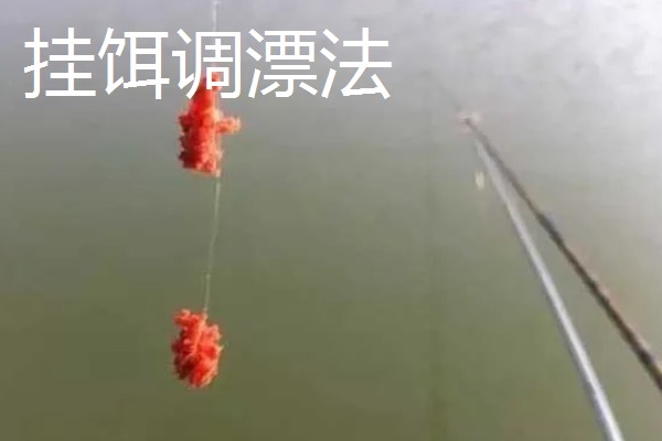 冬天钓鲢鳙是钓底还是钓浮，一般建议钓底