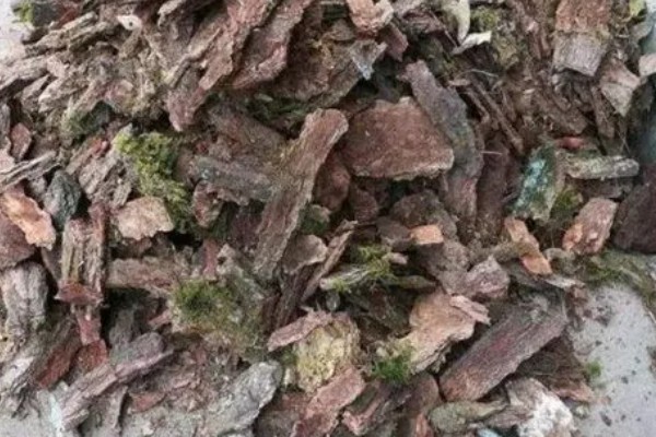 松树皮的发酵方法，第一次发酵持续25-30天左右