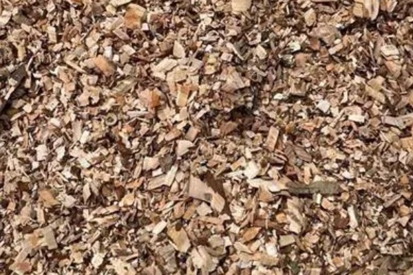 松树皮的发酵方法，第一次发酵持续25-30天左右