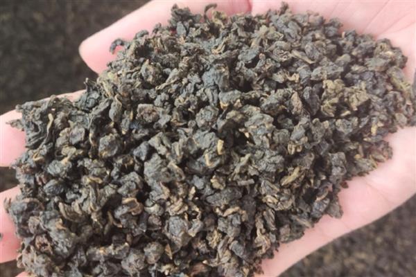 白芽奇兰是不是红茶,属于青茶主要产自福建