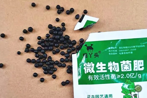 复合微生物菌剂可以缓解哪些问题，可缓解土壤板结、老化等
