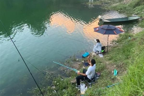 钓鲮鱼选择什么漂，以长身短脚短尾漂、短身长脚长尾漂为主