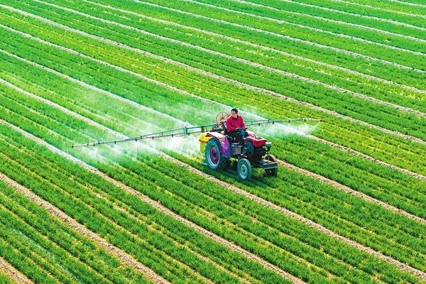 生物肥有哪些,常见的有根瘤菌肥、固氮菌剂等