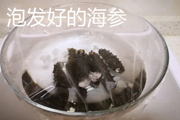 海参的挑选方法,品质好的海参呈灰褐色或黑褐色