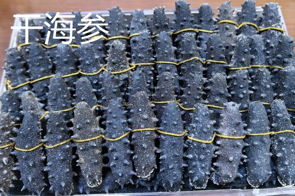海参的挑选方法,品质好的海参呈灰褐色或黑褐色