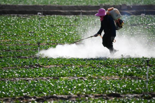 来福灵怎么使用,根据防治对象决定用药量