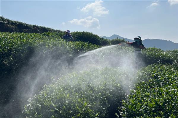 来福灵怎么使用,根据防治对象决定用药量
