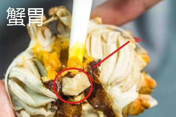 螃蟹怎么杀，第一步就是将其洗干净