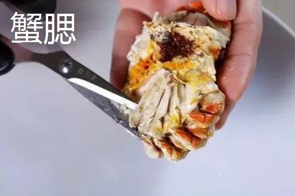 螃蟹怎么杀，第一步就是将其洗干净