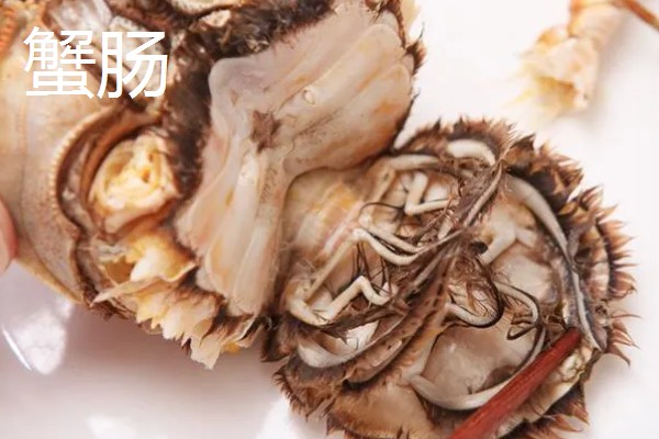 螃蟹怎么杀，第一步就是将其洗干净