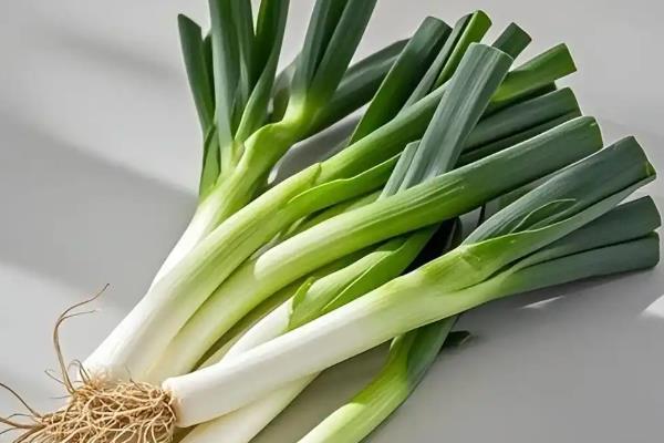 什么是葱白，是大葱靠近根部的白色部位