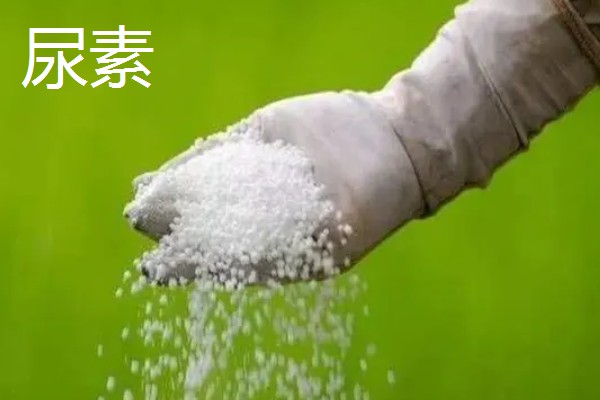 尿胺与尿素哪个肥效长,前者肥效更长