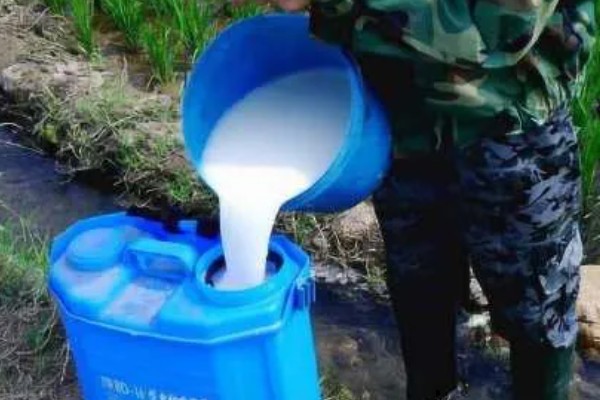 打农药有哪些注意事项，不能在采收前喷药