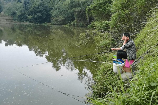 野钓怎么避开小鱼闹窝,可以在一开始使用腥味不重的饵料