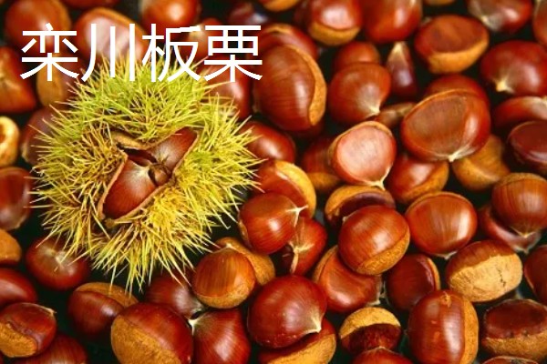 河南省栾川县的土特产,栾川豆腐味道鲜美
