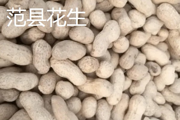 河南省栾川县的土特产,栾川豆腐味道鲜美