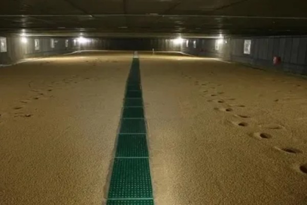 水稻种子的保存方式,需暴晒2-3天降低水分含量