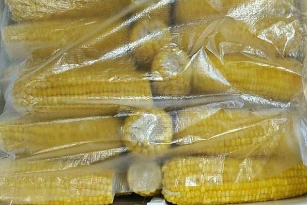 甜玉米有什么好品种,浙甜19、金冠218等品种可以选择